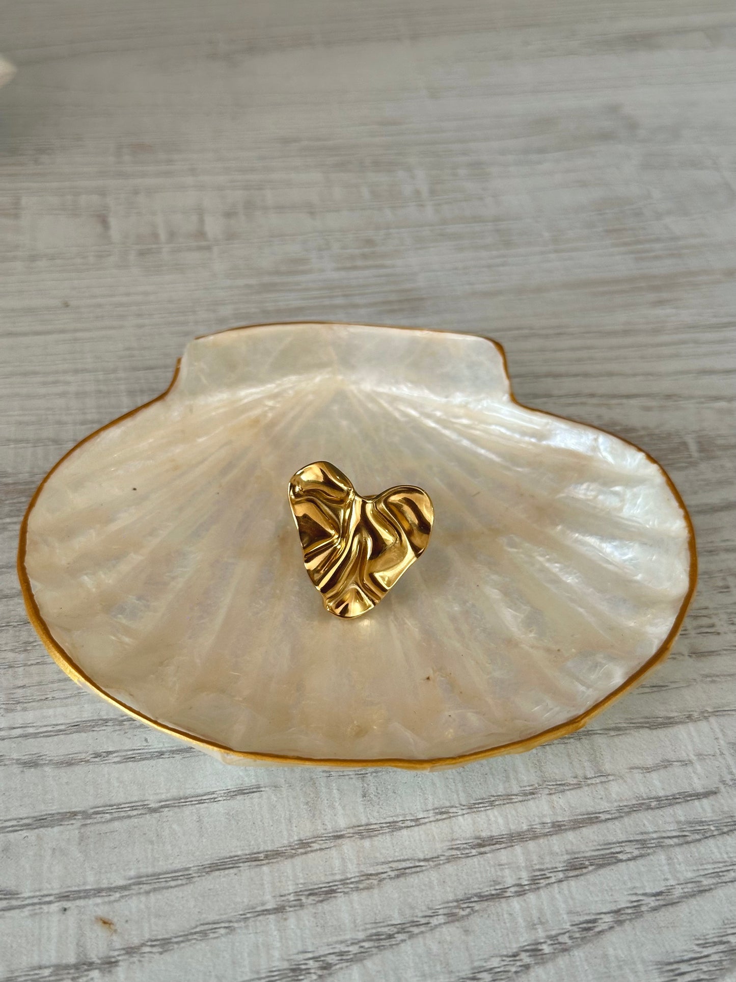 Anillo Rastro
