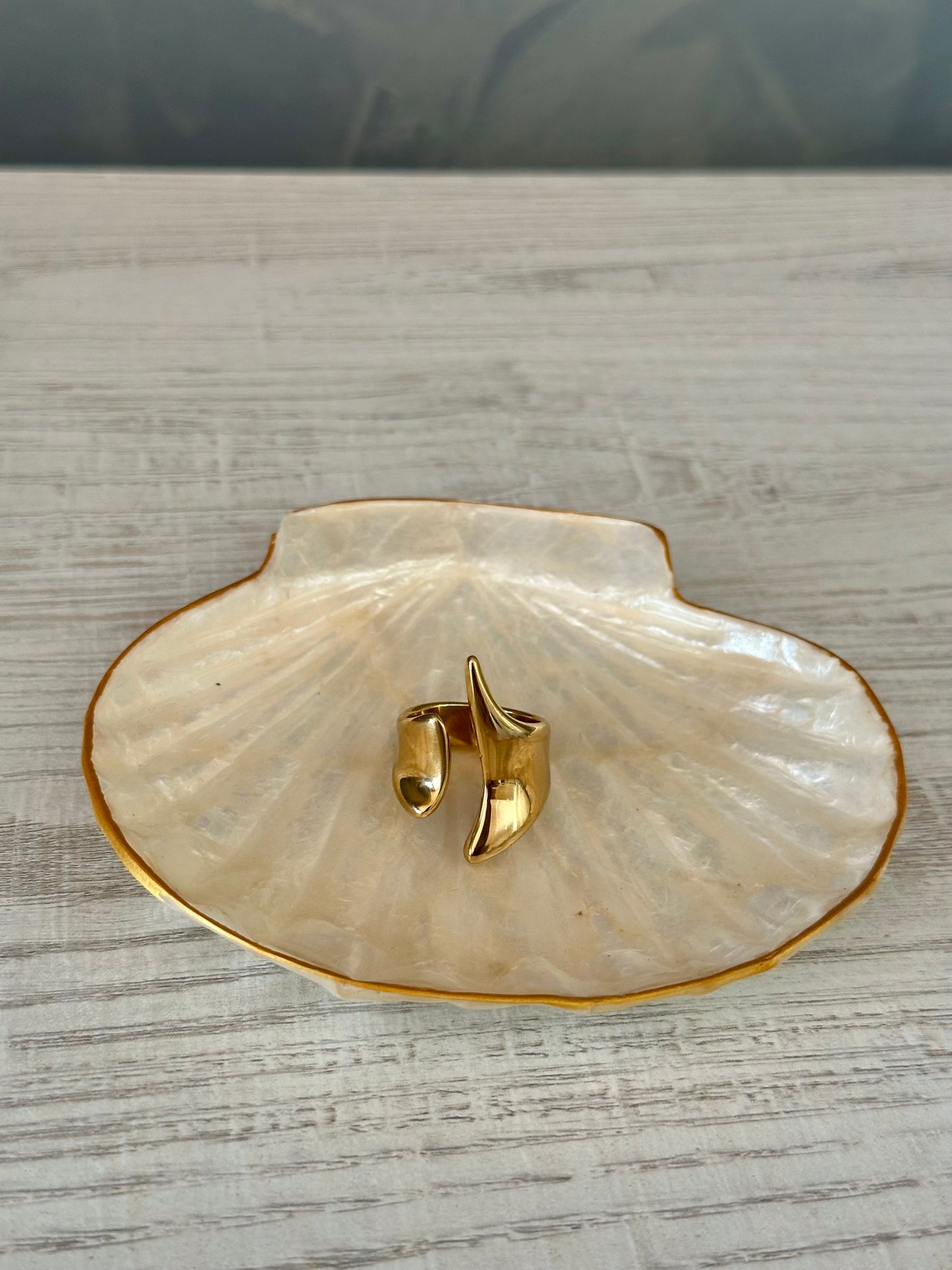 Anillo Luma