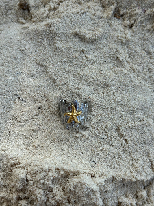 Anillo Costa
