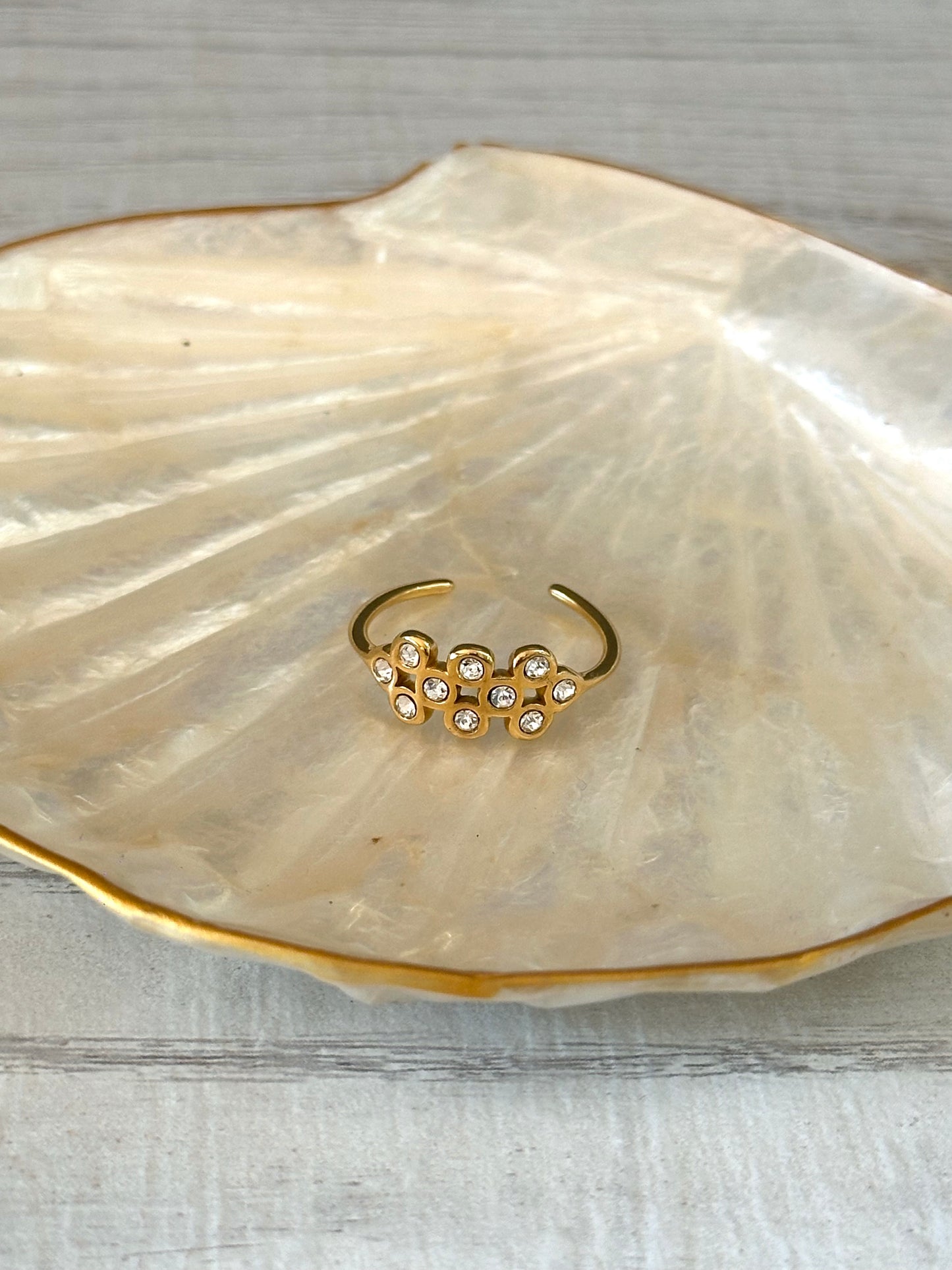 Anillo Polaris
