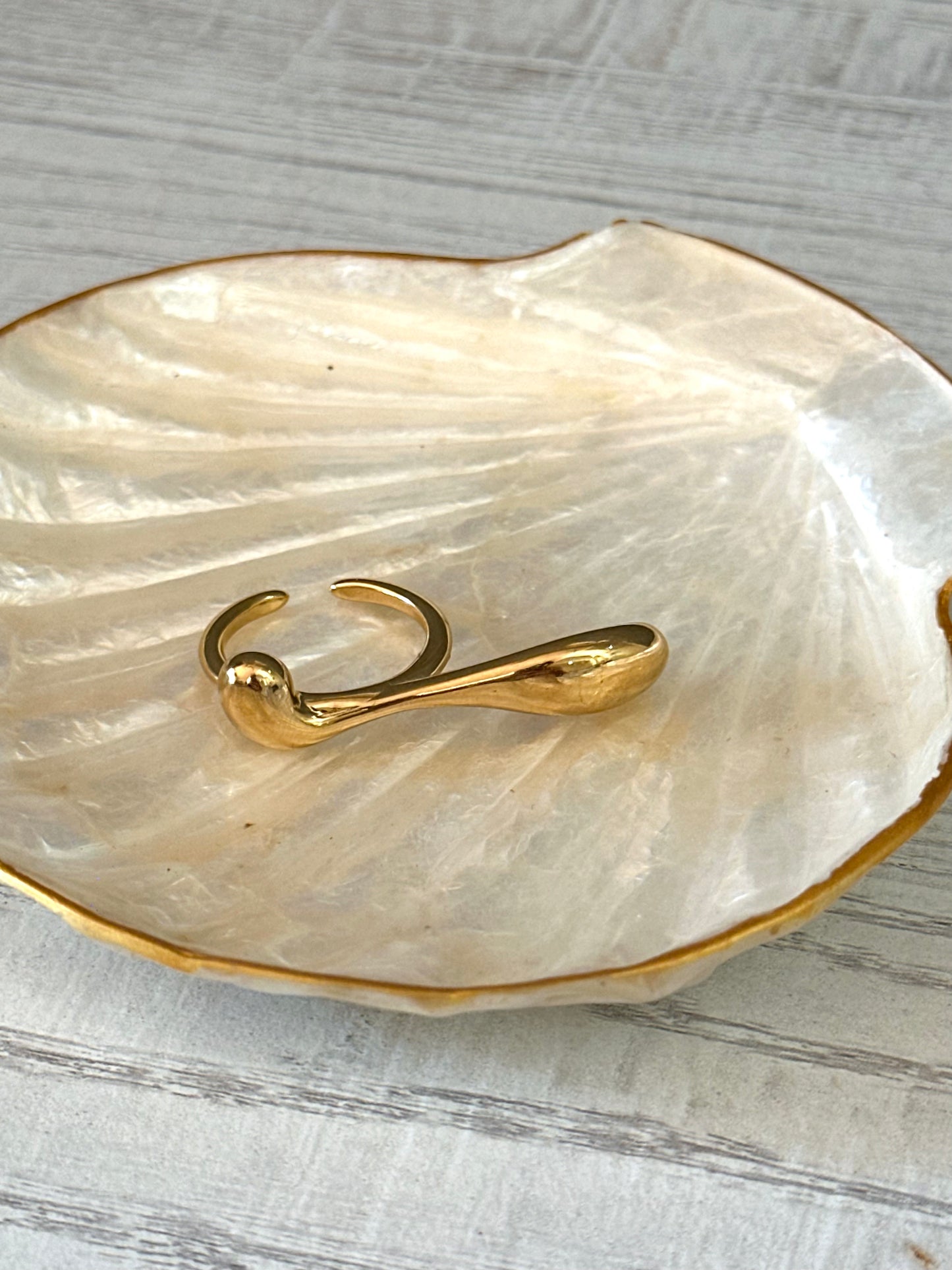 Anillo Delva