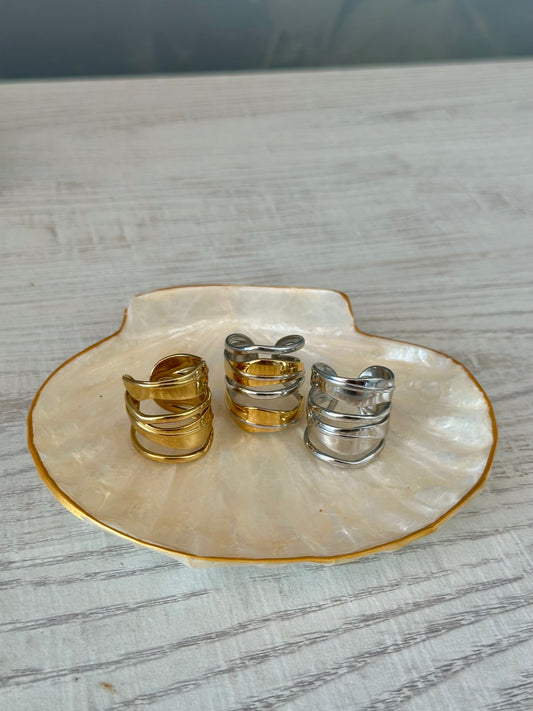 Anillo Fusión