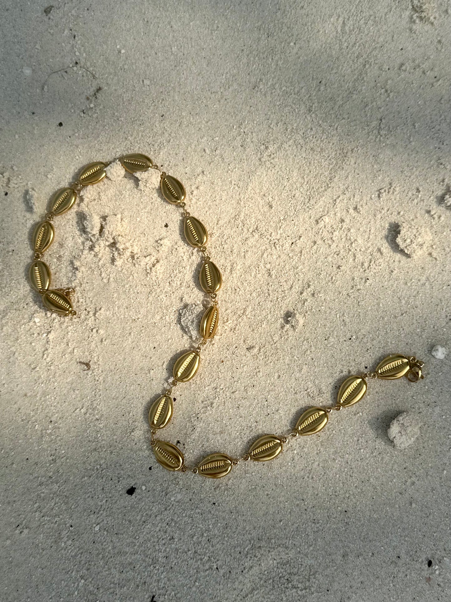 Collar Oasis