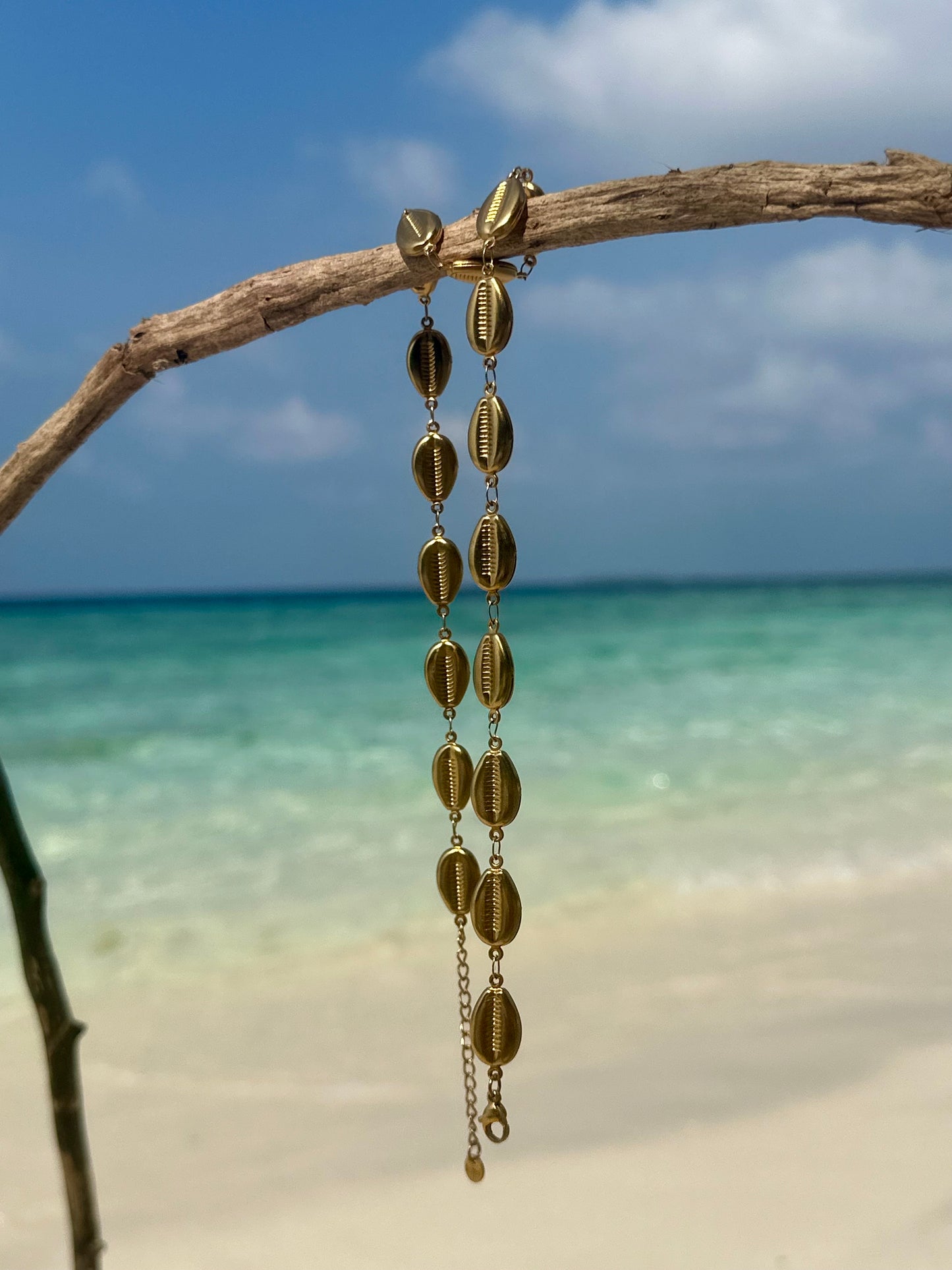 Collar Oasis