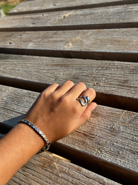 Anillo Norte