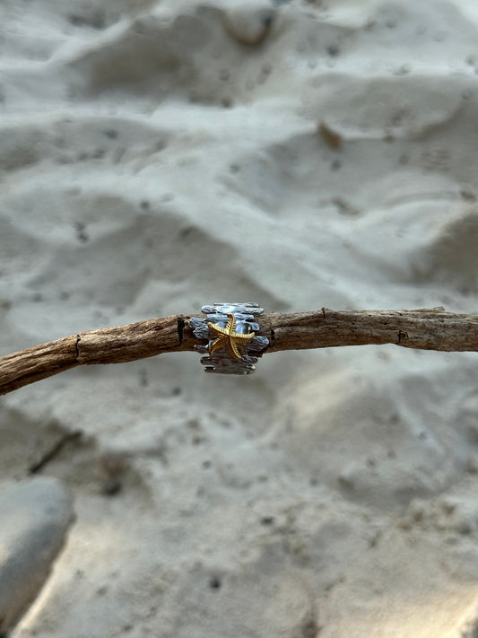 Anillo Costa