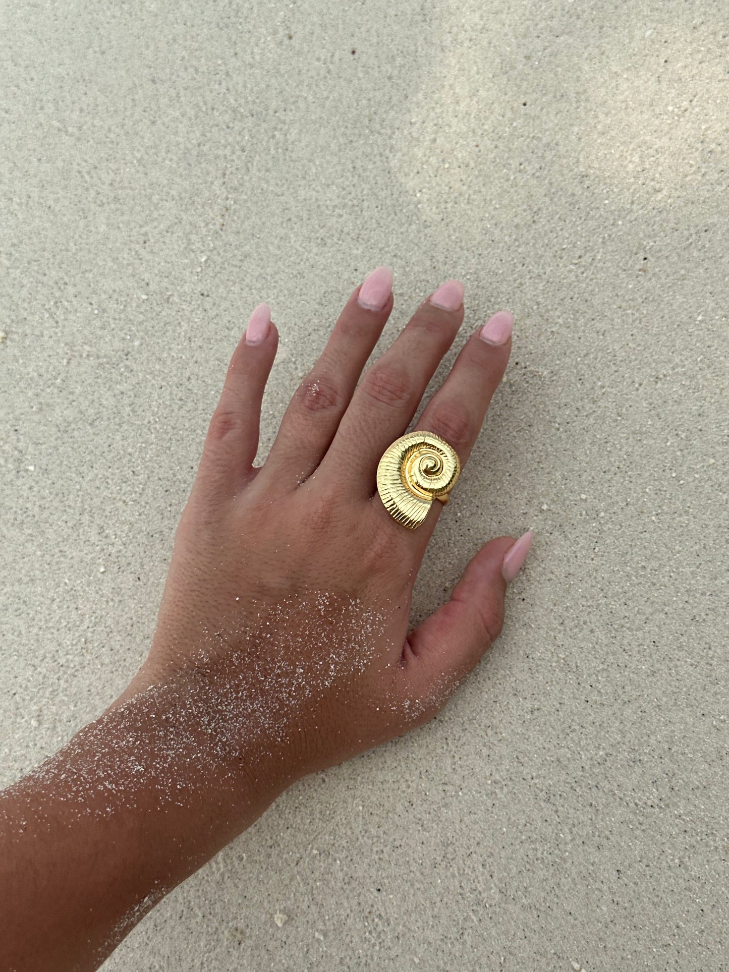 Anillo Sal Marina