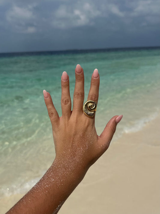 Anillo Sal Marina