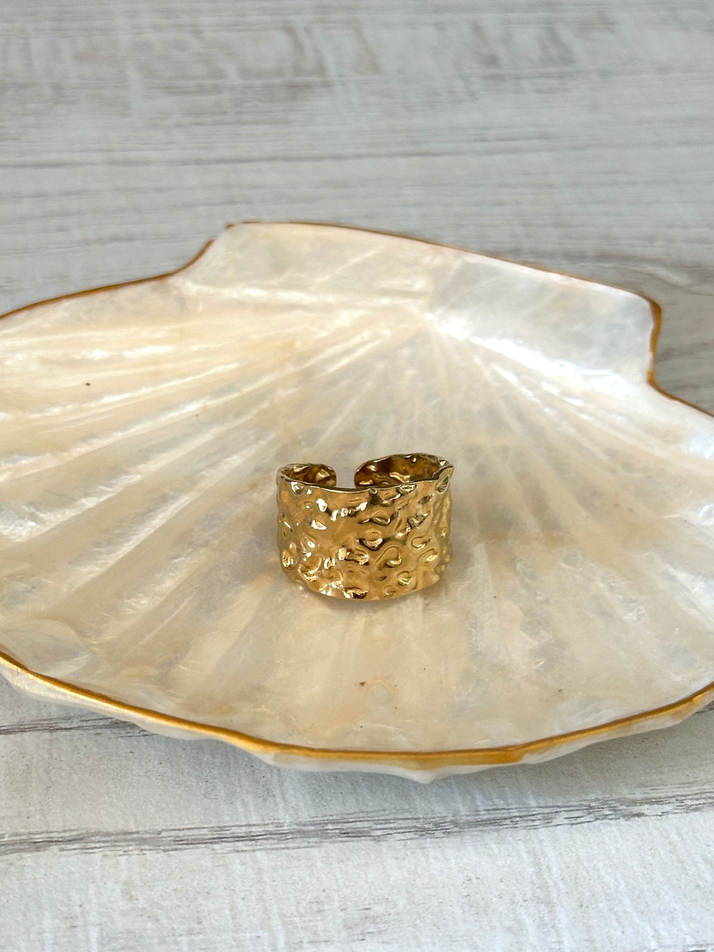 Anillo Duna