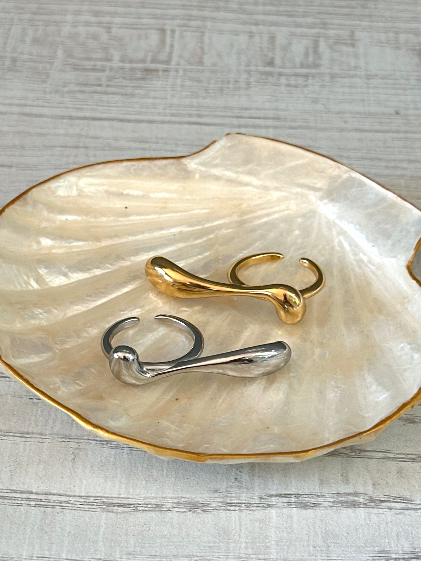 Anillo Delva